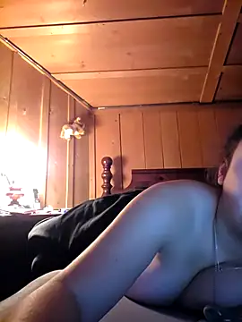 Young_Swiss_Lisan Webbikameraesitys