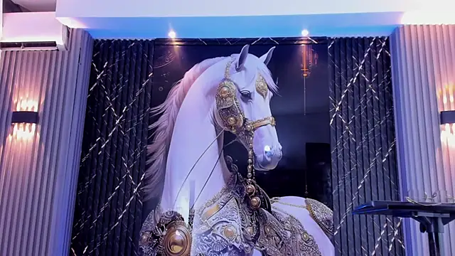 the_knights_of_the_night_ Webcam Show