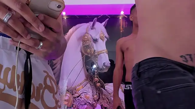 عرض كام the_knights_of_the_night_