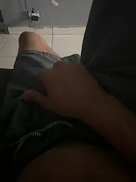 Show de davisanos na webcam