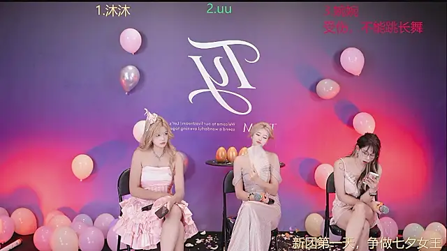TY-303 网络视讯表演