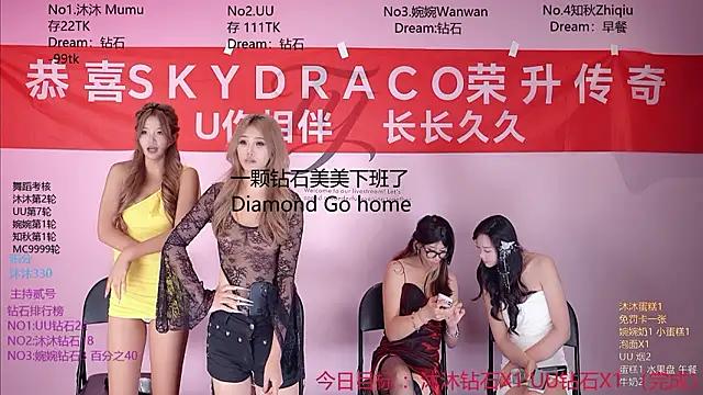 TY-303 网络视讯表演