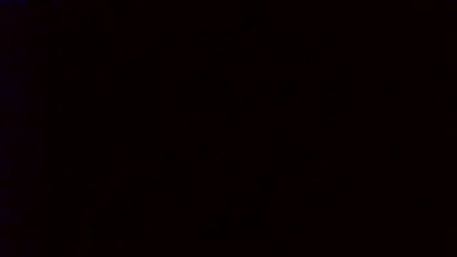 Cass_wild Show in webcam