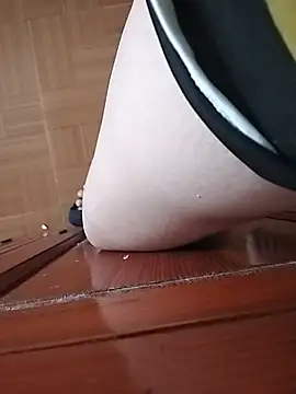 عرض كام big-bo-obs