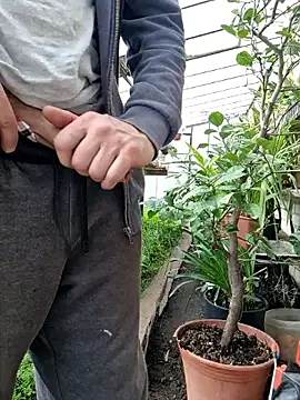 Frosting1957 Show in webcam