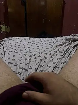 Show de webcam de RapotorE