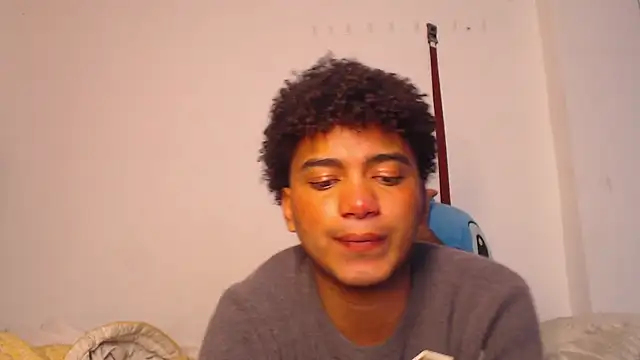 Show webcam de felipecams