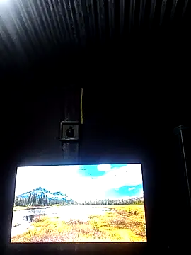 Sxxmann's Webcam Show