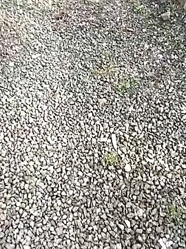 Rocky_pune ওয়েবক্যাম শো