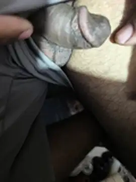 Show webcam de Tamilboy_mushroom_cock