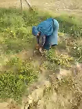 delhicouple50 在線直播表演