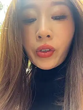 qin205205n Webbikameraesitys