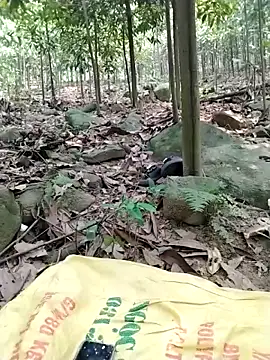 chaubau1のウェブカメラショー