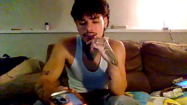 Show webcam de PINCH3G