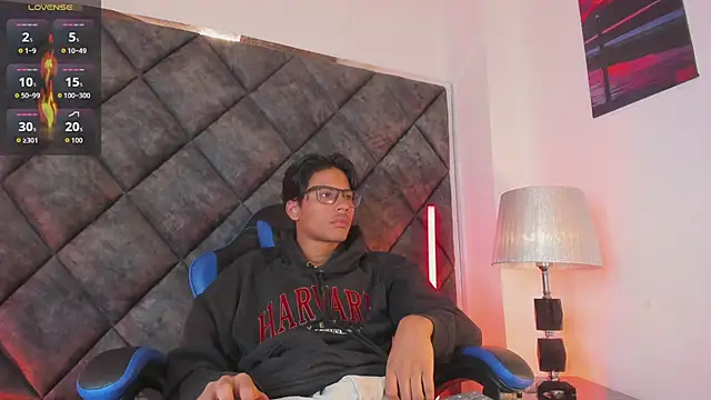 Show Webcam de LiamKron