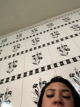 casalsafadolln Webbikameraesitys