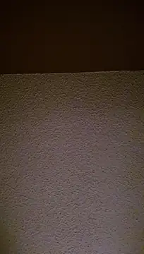 chronic_vibez Show Webcam