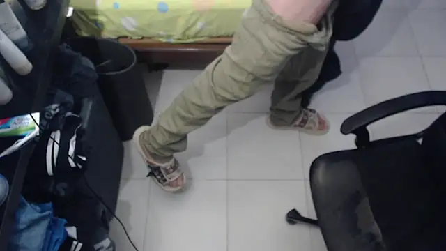 FVC91 Show in webcam