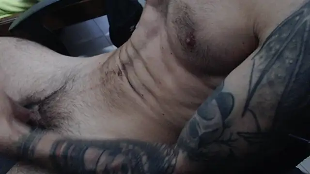 Show Webcam de FVC91