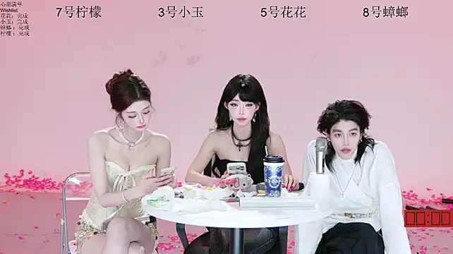 HOT-dance520S 网络视讯表演