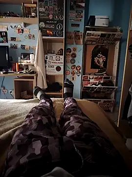 BarringHandling Show Webcam