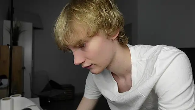 Dave_Redmondn Webbikameraesitys