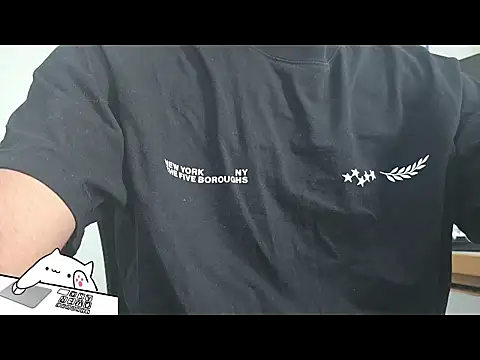 NotEEGamer Show Webcam