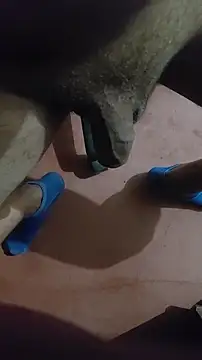 AurNegrun Webbikameraesitys