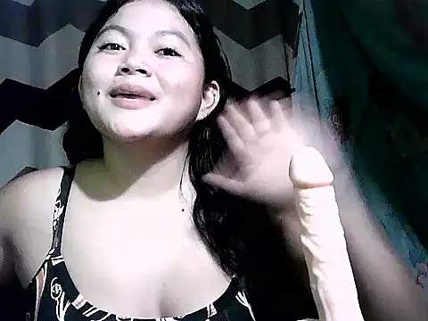 Show webcam de Khemselers