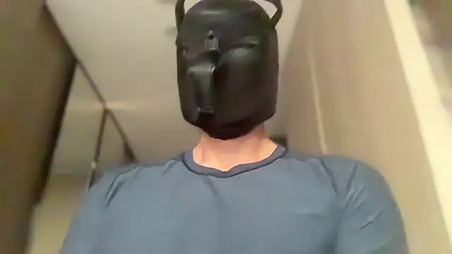 AsianCadetDog Webcam show