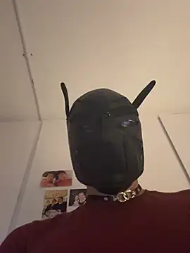 Show webcam de AsianCadetDog