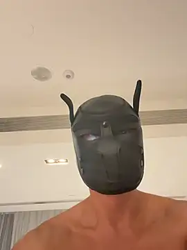 عرض كام AsianCadetDog