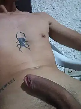 Show Webcam de alanandtifany