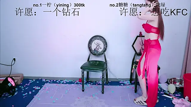 CCTW-100 Cameră chat live