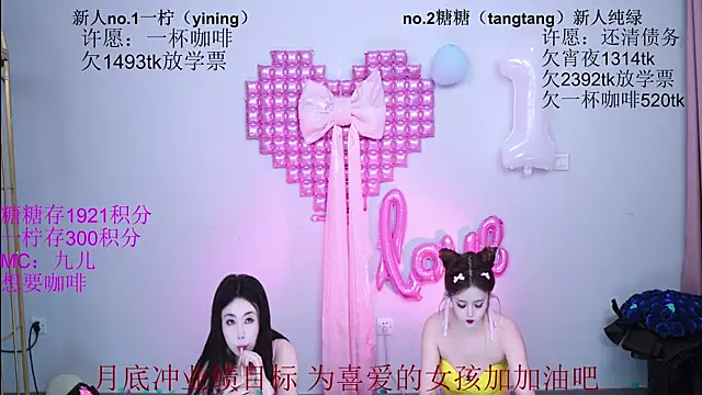 CCTW-100 Webcam-Show