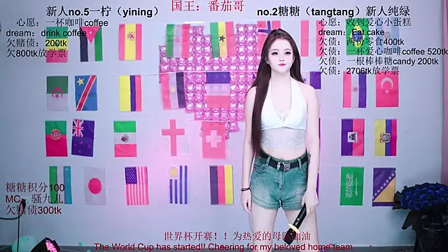 CCTW-100 Show Webcam