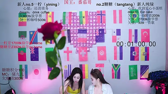 CCTW-100 웹캠 쇼