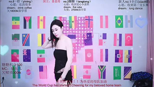 CCTW-100 网络视讯表演
