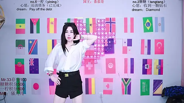 CCTW-100 웹캠 쇼