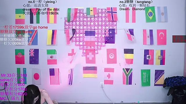 عرض كام CCTW-100