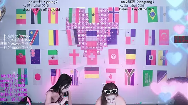 CCTW-100 Show Webcam