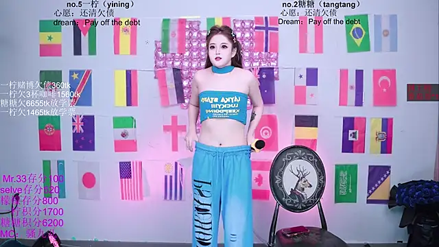 CCTW-100 Show Webcam