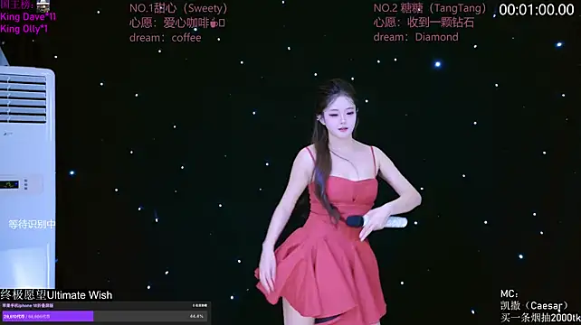 CCTW-100 Show Webcam
