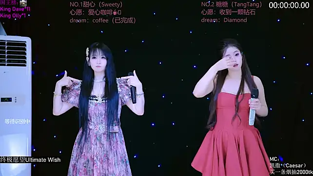 CCTW-100 Show Webcam
