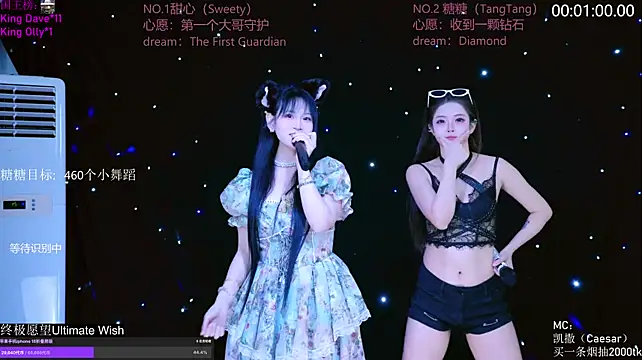 Show Webcam de CCTW-100