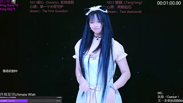 CCTW-100のウェブカメラショー