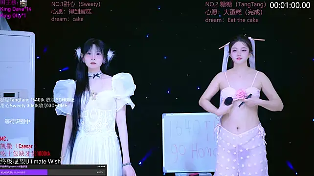 CCTW-100: вебкам-шоу