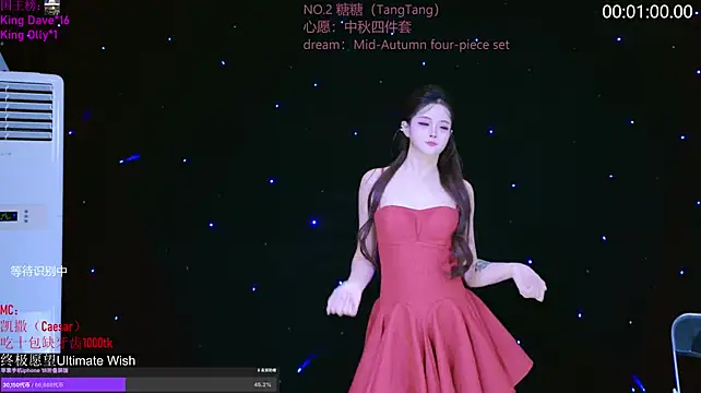 CCTW-100 网络视讯表演