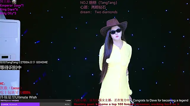 CCTW-100 Show Webcam