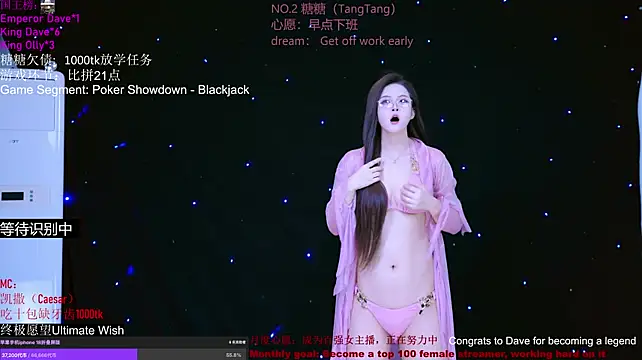 CCTW-100 Show Webcam